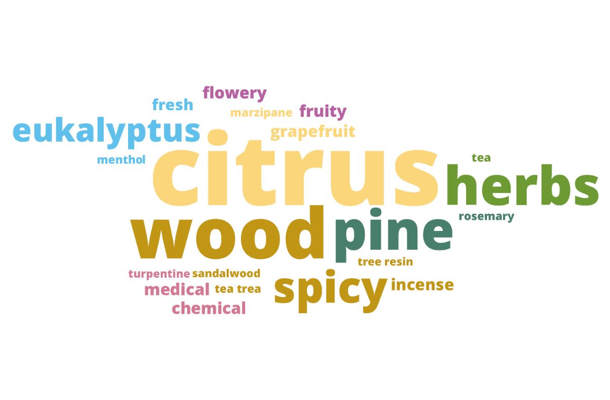 sensocosmetics_700x460.jpg